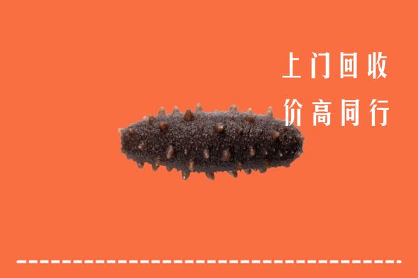 收购行情：北镇市回收海参