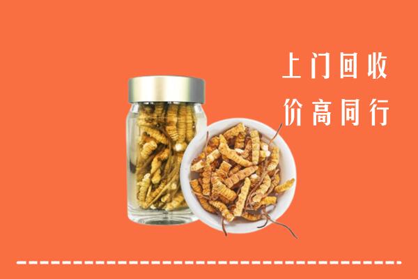 北镇市回收冬虫夏草