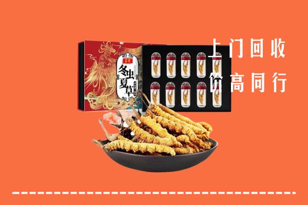 北镇市回收虫草